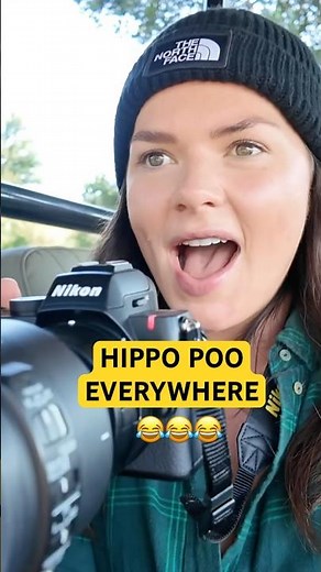 hippo poop EXPLOSION ‼️ #funnyshorts #funnyanimals