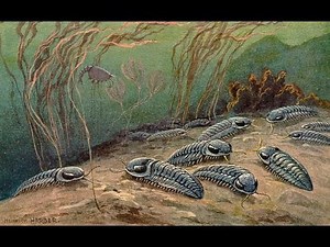 Trilobite - Deep Time ("Dynamite" parody)