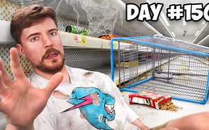 Who is Alex in the latest MrBeast video? Winner of $450,000 for staying in a grocery store for 45 days