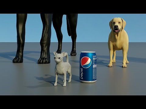 Smallest Dog vs Biggest Dog Size Comparison | 3d Animation Comparison | Real Scale Comparison of Dog