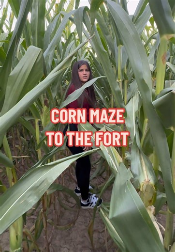 Exploring the Corn Maze Adventure at Fort 47