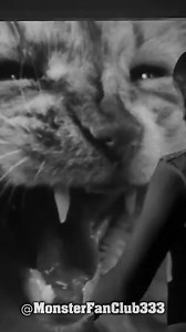 "The Incredible Shrinking Man" (1957), directed by Jack Arnold, is a classic science fiction film based on Richard Matheson's novel. The story revolves around Scott Carey (Grant Williams), who, after being exposed to a combination of insecticide and radioactive mist, begins to steadily shrink in size. Watch the movie here: https://amzn.to/492rvAe As Scott gets smaller, he must confront the challenges of everyday life from a new perspective. The narrative explores the psychological and physical t