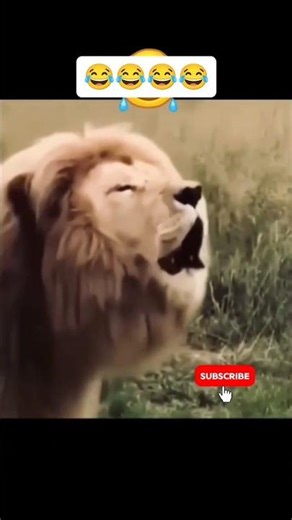 You won't last 5 seconds 😂 bet 😂😂 #shorts #viral #youtubeshorts #comedy #memes