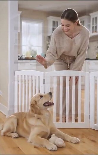 Dog: “Wait… I Can’t Go In There?” 😂🐶 | Indoor Dog Gate #home #pawland #doggate #petgate #diy #pets