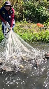 Unbelievable Cast Net Fishing | NHED ELUAP