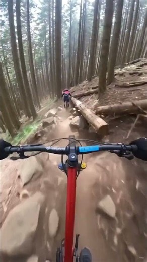 POV MTB Downhill – Extreme Mountain Bike Ride