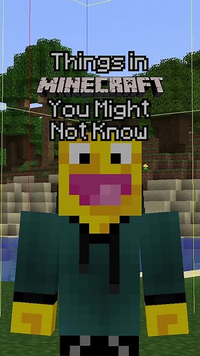 How to Easily See Chunk Borders in Minecraft