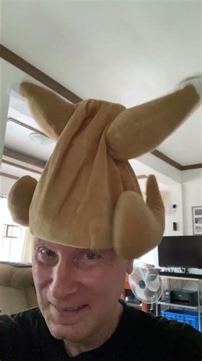 Chicken dance hat