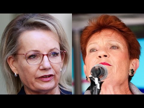 Polling shows Coalition ‘losing ground’ to One Nation among older voters