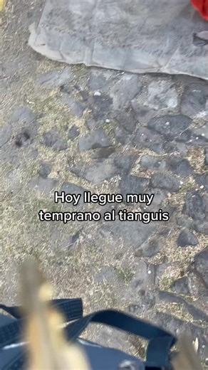 Colorful Plastic Toy Collection Displayed Outdoors