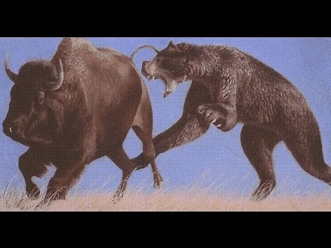 The Short-Faced Bear: America's Top Predator