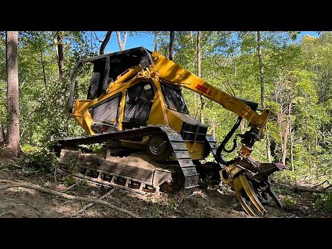 Bell Ultra T Track Feller Buncher cutting and topping hardwood timber