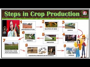 Steps in Crop Production