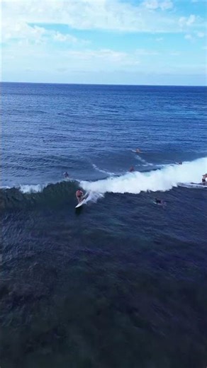 Nothing better than surfing in Maui! Epic surfing drone video!🤙🌊🌊🔥 #surf #beach #waves