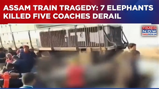 Assam Train Tragedy: 7 Elephants Killed As New Delhi Rajdhani Express Derails 5 Coaches In Hojai