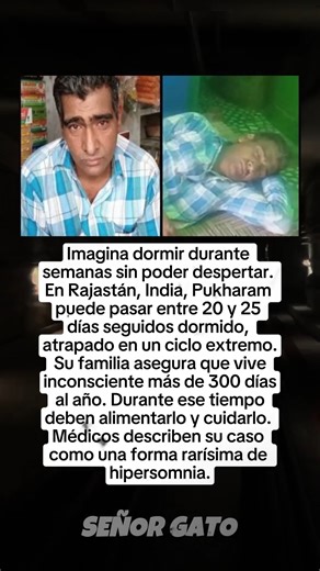 #datos #datoscuriosos #terror #historias #fypシ゚viralシ | Señor gato