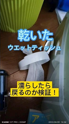 乾いたウエットティッシュに水をかけたら、またウエットティッシュに戻るのか検証していきます！#検証