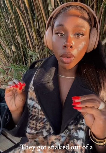 developmentalpc (@developmentalpc)’s video of snake videos