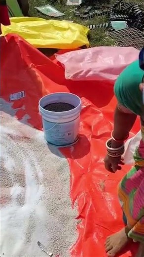 My other Project: Ready for fertilizer Application #commercial #farming #smaranikaagrihorti