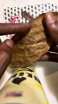 HOW TO PROPERLY ROLL A BACKWOOD: Tutorial By Kush