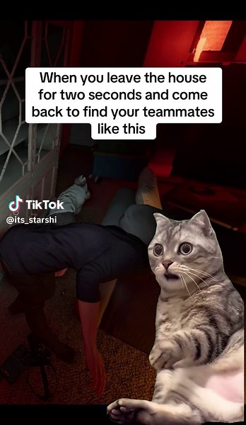 Phasmophobia Game Memes: Hilarious Teammate Moments