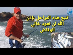 يوم جميل مع سمكة البوقة لفراجة والمتعة بهذا التقنية #Rod fishing technique#