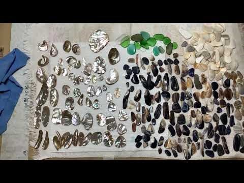 Tumbler unloaded, polished shells