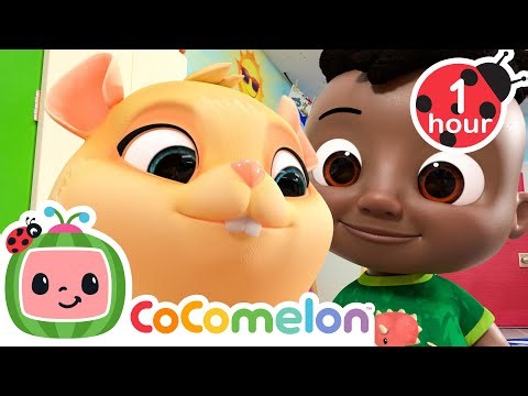 Cute Little Class Pet! | CoComelon | Sing Along | Learn about Animals