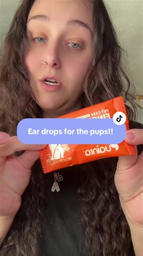 Don’t judge my boy on he zebra blanket he’s comfortable 😂😂 #fyp #pugglesoftiktok #puggle #dogsoftiktok #tiktokshop