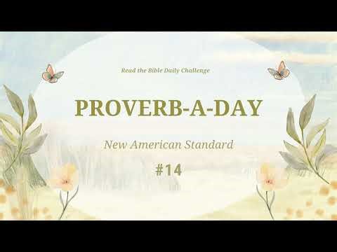 (NASB) Proverb-A-Day Challenge: Proverbs 14