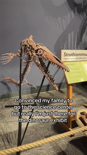 Exploring Dinosaurs at Orlando Science Museum