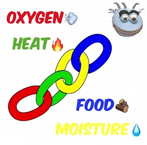 D🚫N’T SKIP or COMPLICATE separation!👎GO POST PRO!⚡️’Chemical’ deters decay-fungi feeding. PP so decay-fungi have NO post access💥 The #️⃣1️⃣ Pole Barn Pushback = Wood Post Foundation in Soil-Contact. So LOSE the Soil-Contact.... NOT Simple, I-G Strength, Affordable, DIY & VALUE! 🎯 EVERYONE knows that direct soil-to-wood contact is NOT the ideal condition for longevity as the soil introduces a plethora of decay fungi/bacteria. “ALL P-T posts eventually lose resistance to DECAY. Decay is a grad