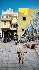 3.5K views · 138 reactions | If a Wada-pav wala makes more money than...