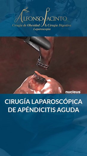 DR. Alfonso Jacinto on TikTok