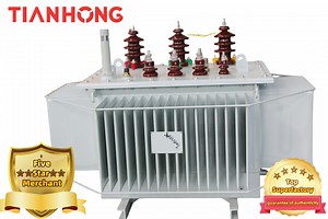[Hot Item] 10000kVA Power Transformer with Oltc S11 Three Phase Factory Sales