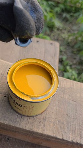 Best Pigeon Feeding Tips for Fast Growth and Strong Health#pigeon#craft