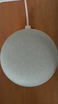 Google Home Mini/Nest speaker not working