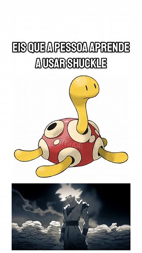 Shuckle God - Pokémon Memes and Funny TikToks Compilation