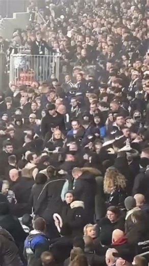 Mouvement-Ultra’ 🇫🇷 on Instagram: "Strasbourg - Lyon 22/02/2026 : Des affrontement en tribune entre deux groupes strasbourgeois les Ultra’ Boys et Strasbourg Offender."