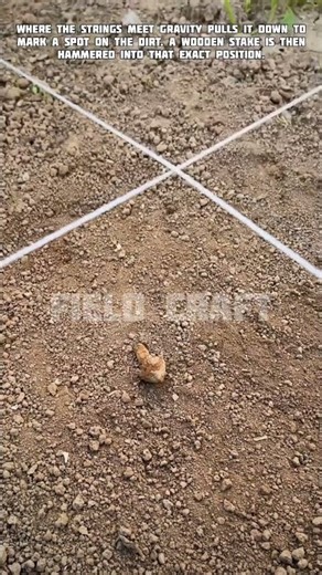 Setting Stakes | The Gravity Method