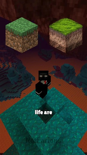 Minecraft block size compared to real life