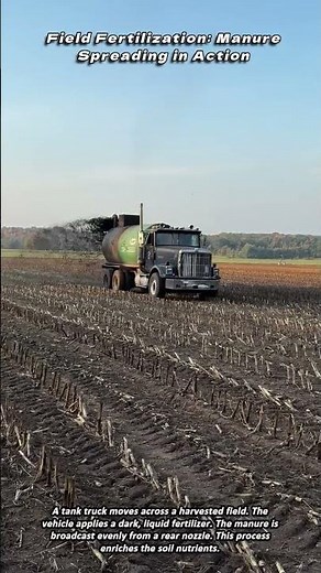 Field Fertilization Manure Spreading in Action