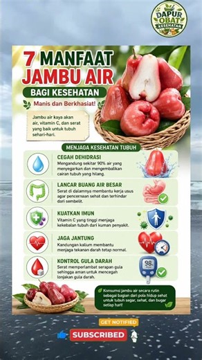 7 Manfaat buah jambu air untuk kesehatan badan