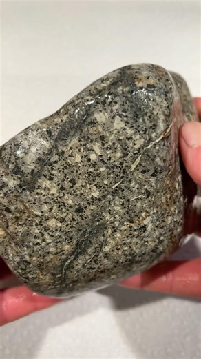 Feldspar and pyroxene phenocrysts?: Found in Rehoboth, MA