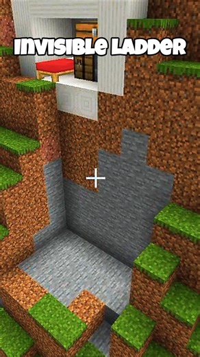 Minecraft Invisible Ladder 🔥😎 #shorts