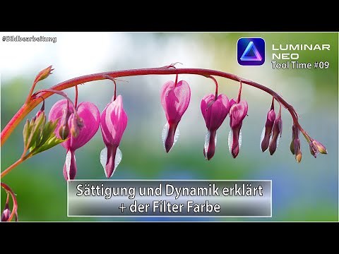 Luminar Neo - Sättigung und Dynamik erklärt