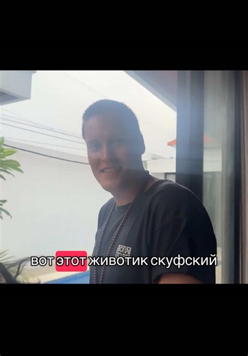 @Petya English