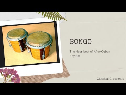 The Bongos: Afro-Cuban Rhythms That Shaped Salsa, Jazz, and Beyond