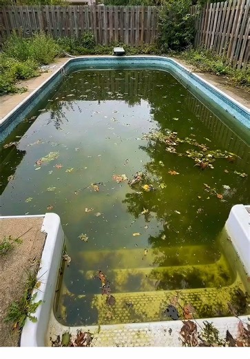 Ultimate Cleaning and Lawn Care ASMR: Satisfying Experiences