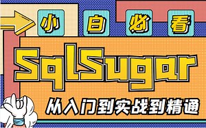 【小白必看】2023版SqlSugar详细教程 从入门到实战（.NET6 SqlSugar SQLServer/ORM/C#/WPF/Winform）B1005
